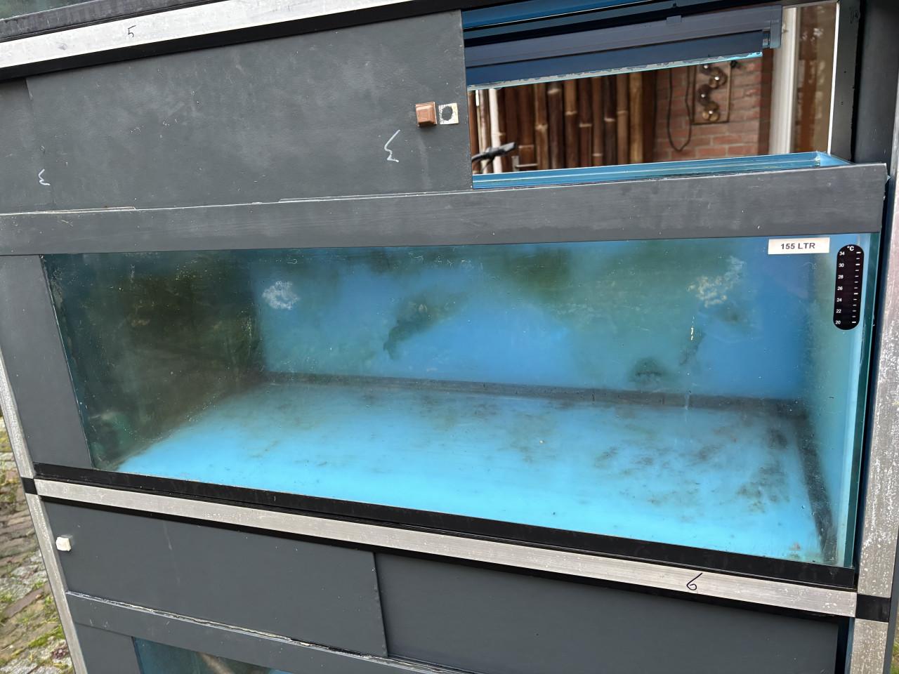 Kweekstelling stellingkast aquarium