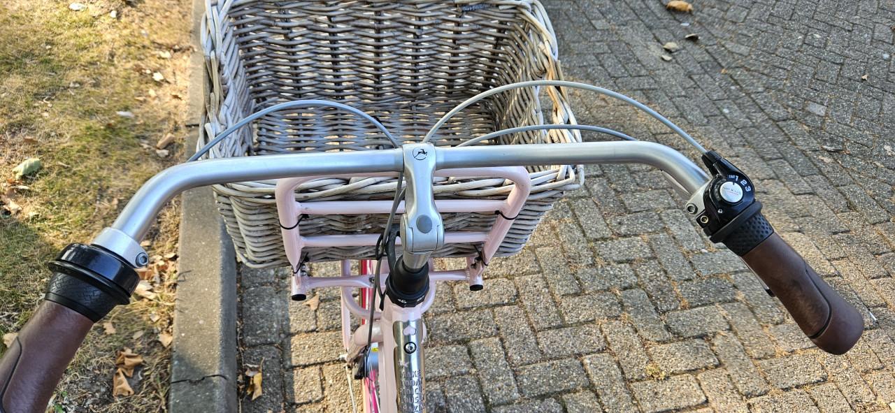Gazelle Miss Grace Unieke Roze damesfiets