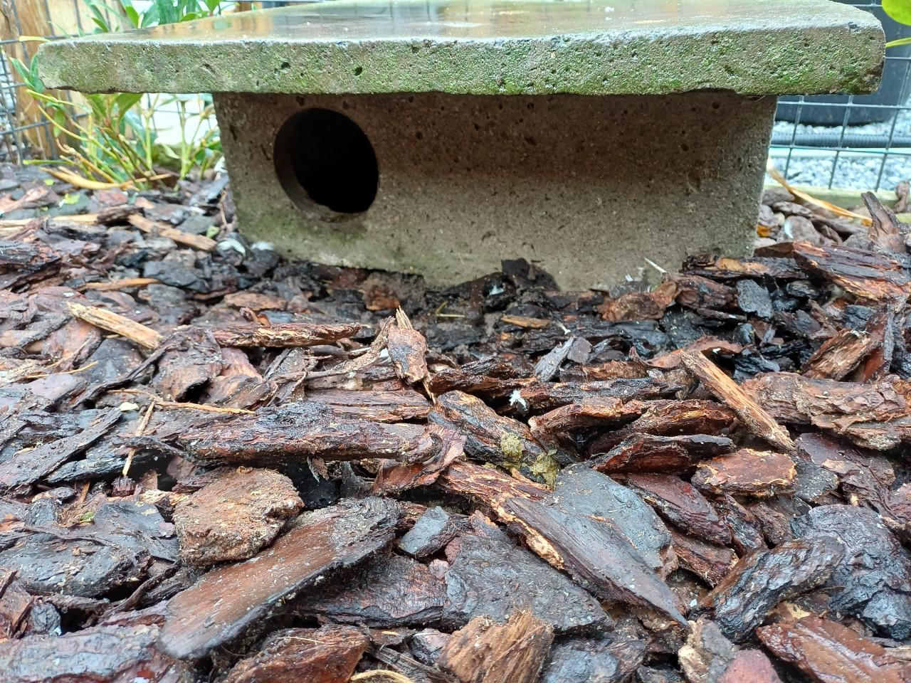 Eenden nestkasten van beton