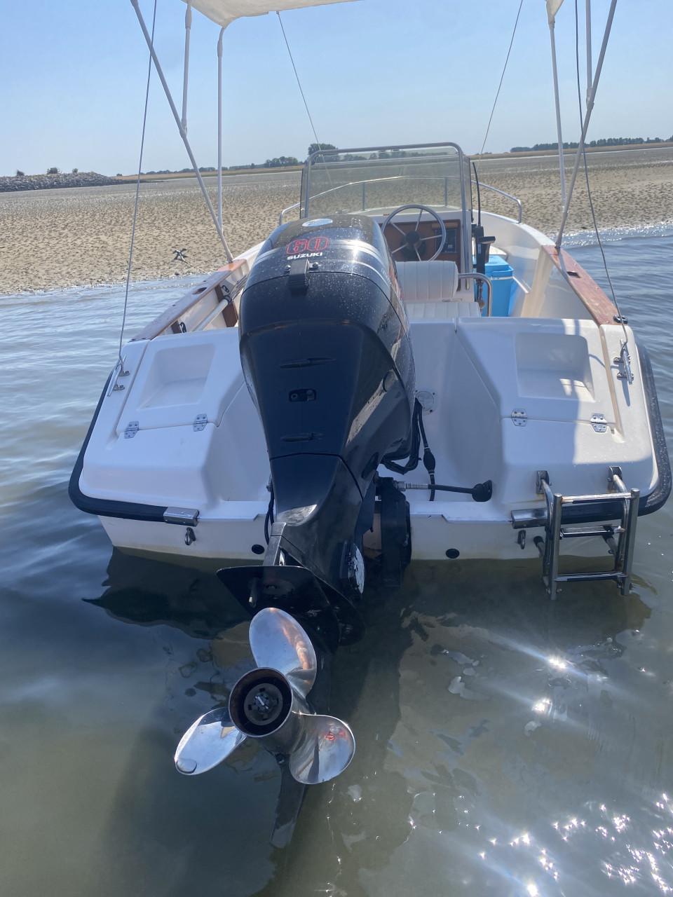 Elan 495 boot met 60pk Suzuki 4 takt en trailer