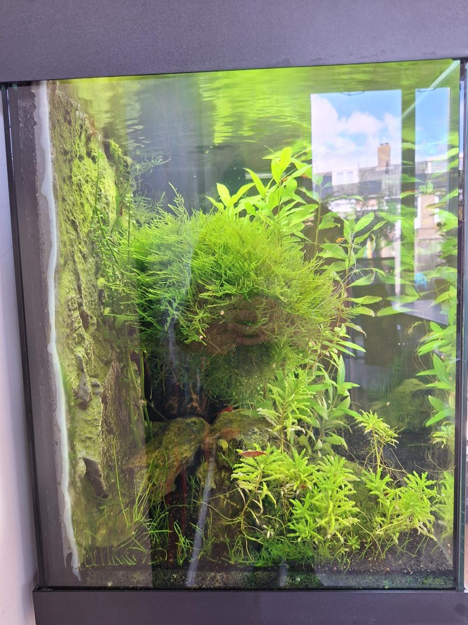 GERESERVEERD Aquarium Juwel Lido 120