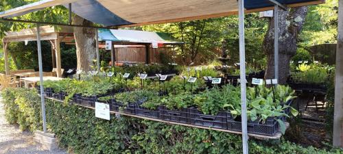 Diverse marktkramen aangeboden tegen een aantrekkelijk prijs ( marktkraam )