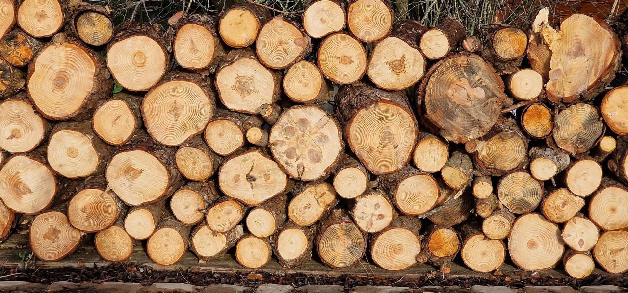HAARDHOUT te koop