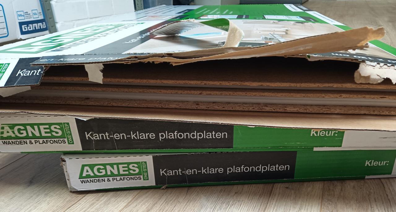 Agnes plafondplaten