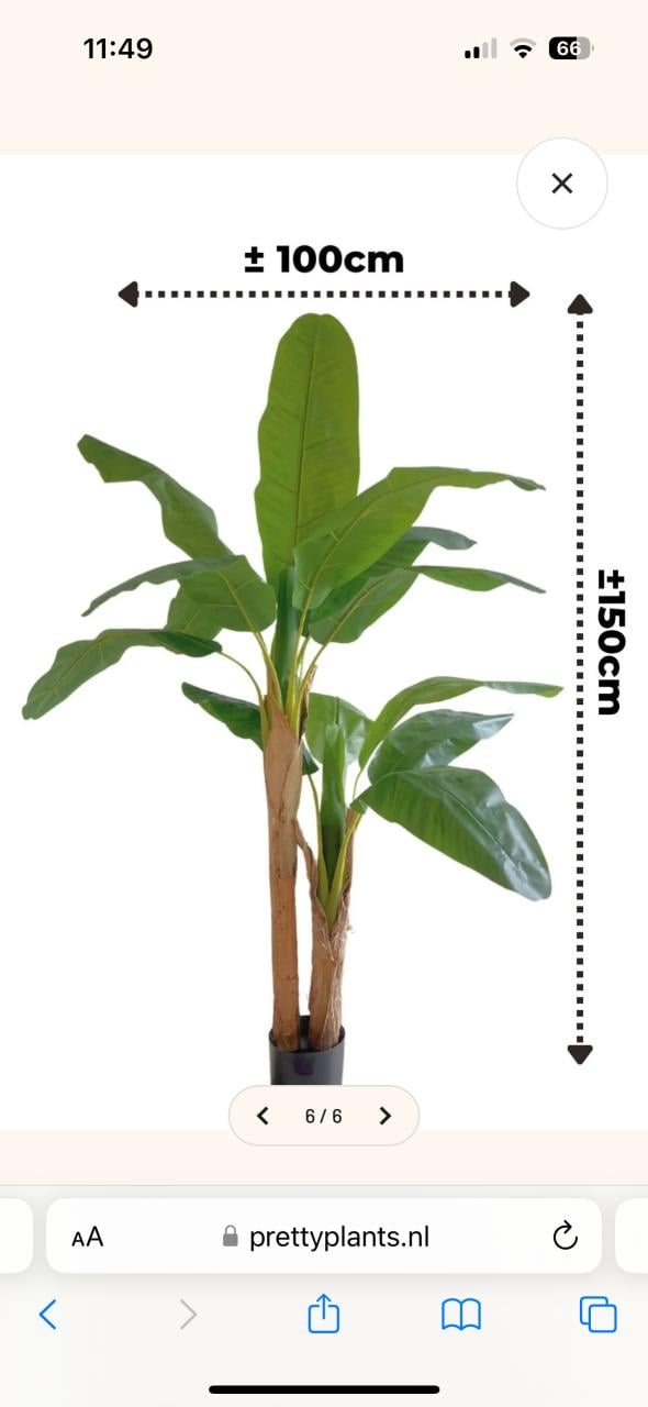 Zo goed als nieuwe kunstplant 160 cm