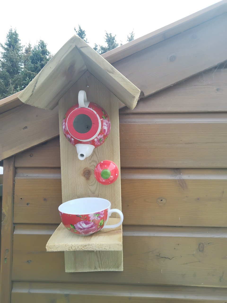 Vogelkastjes