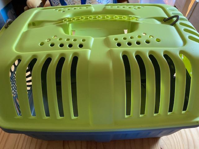 Reismand kleine huisdieren