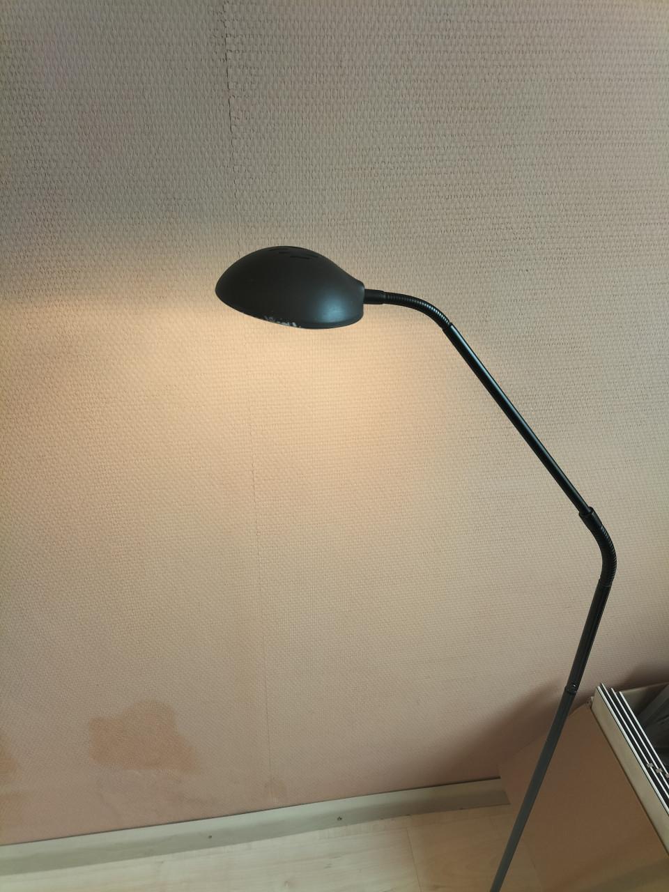 Staande haligeen-leeslamp