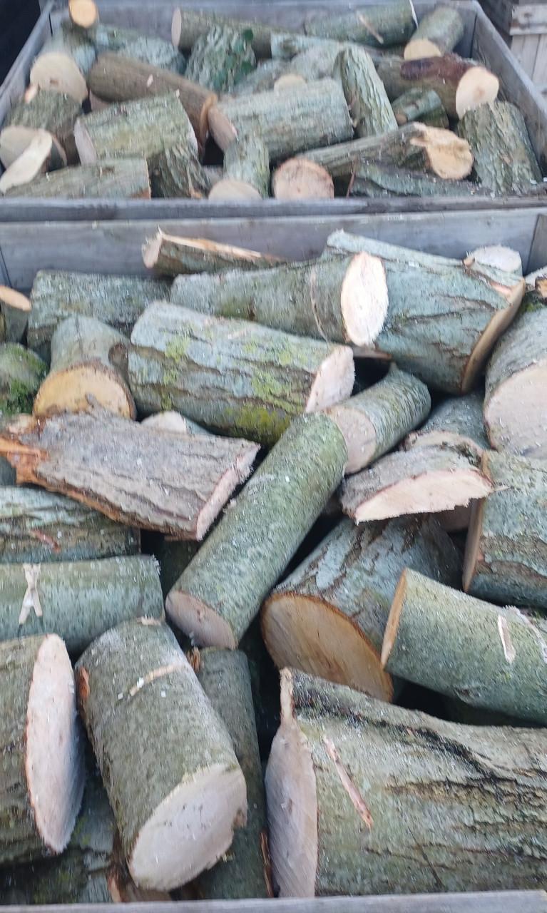 HAARDHOUT perenhout of wilgenhout, gekliefd/ongekliefd