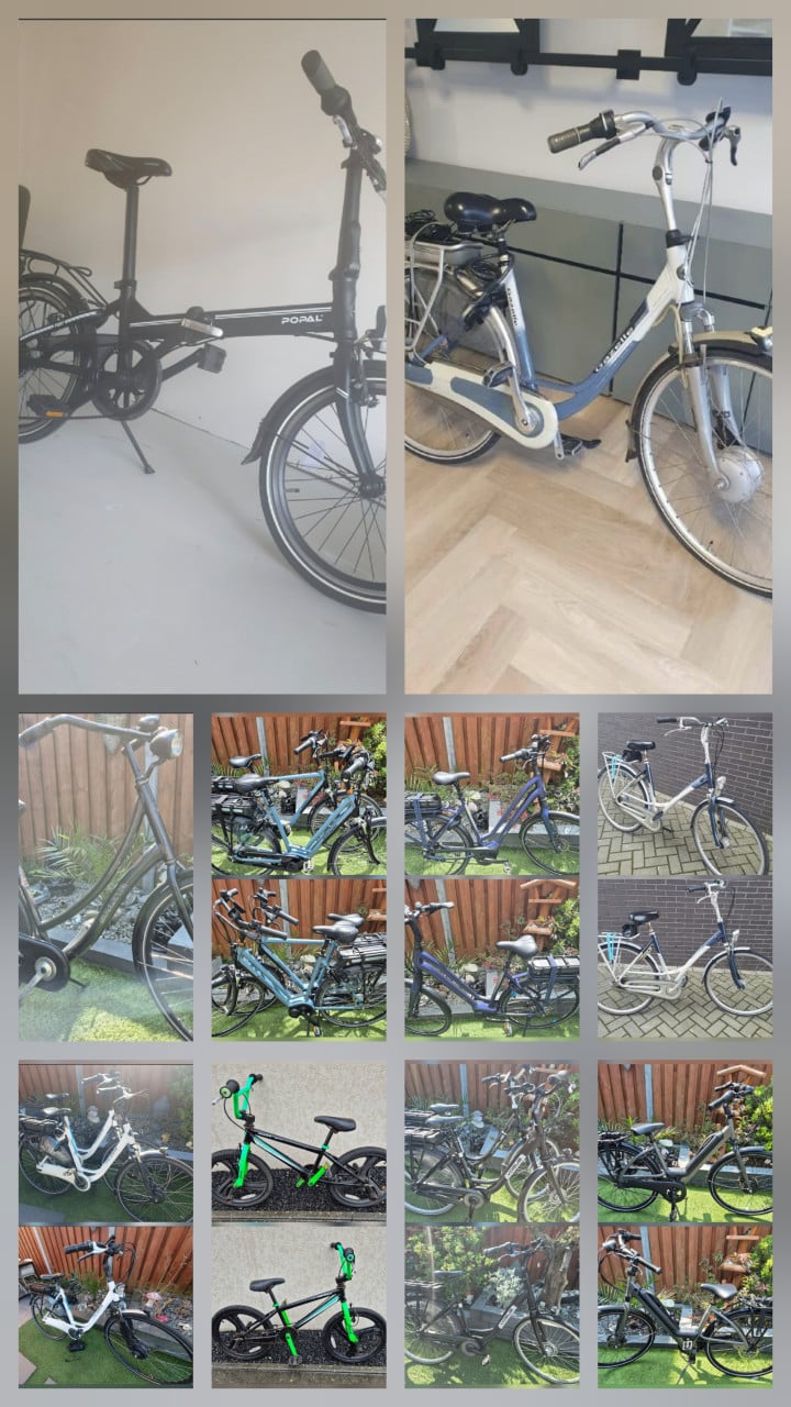 UITZOEKEN | Allerlei elektrische fietsen tussen de 350 en 750euro.