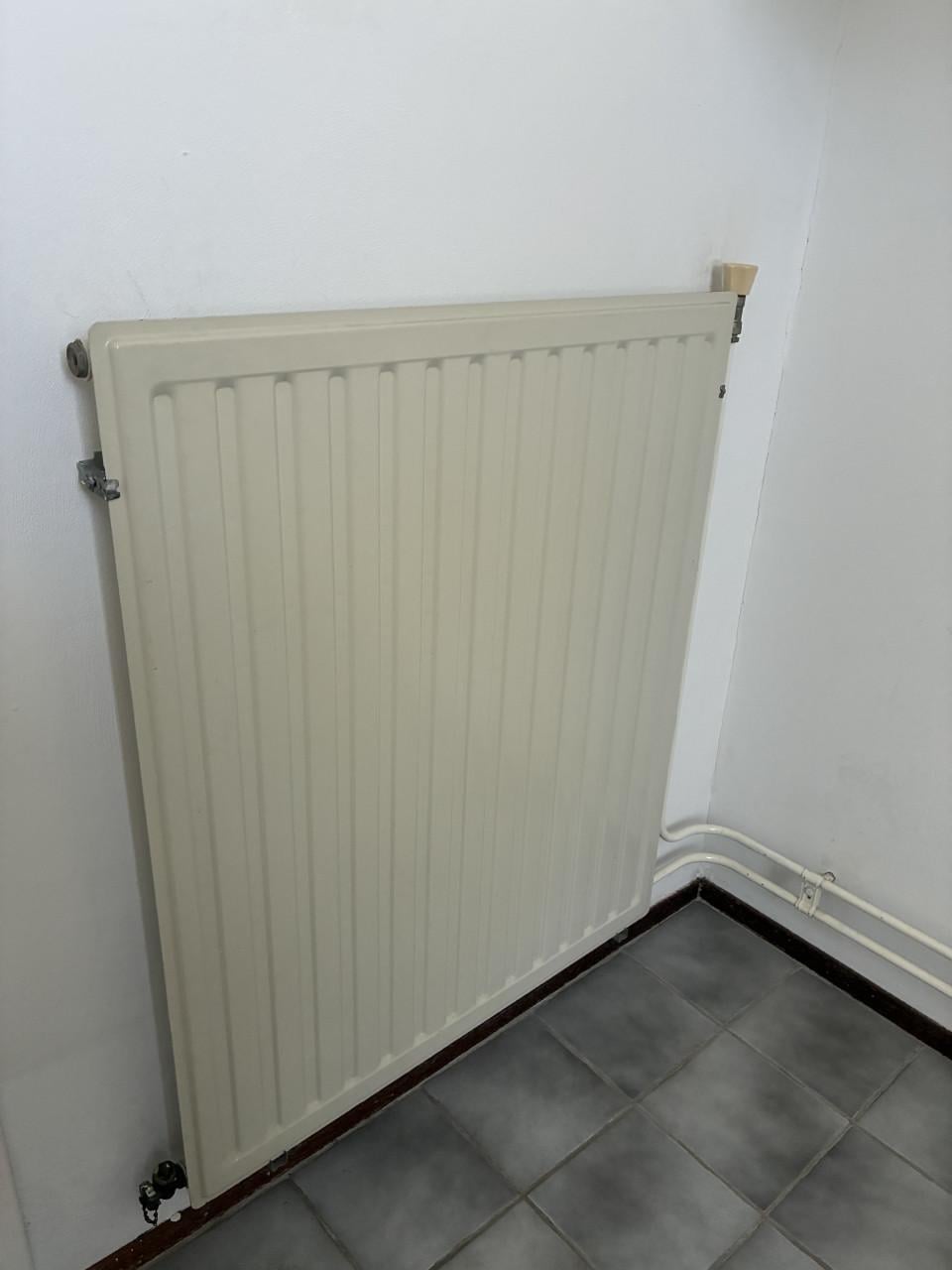Radiator 72,5 x 230 cm (meerdere modellen / partij mogelijk)