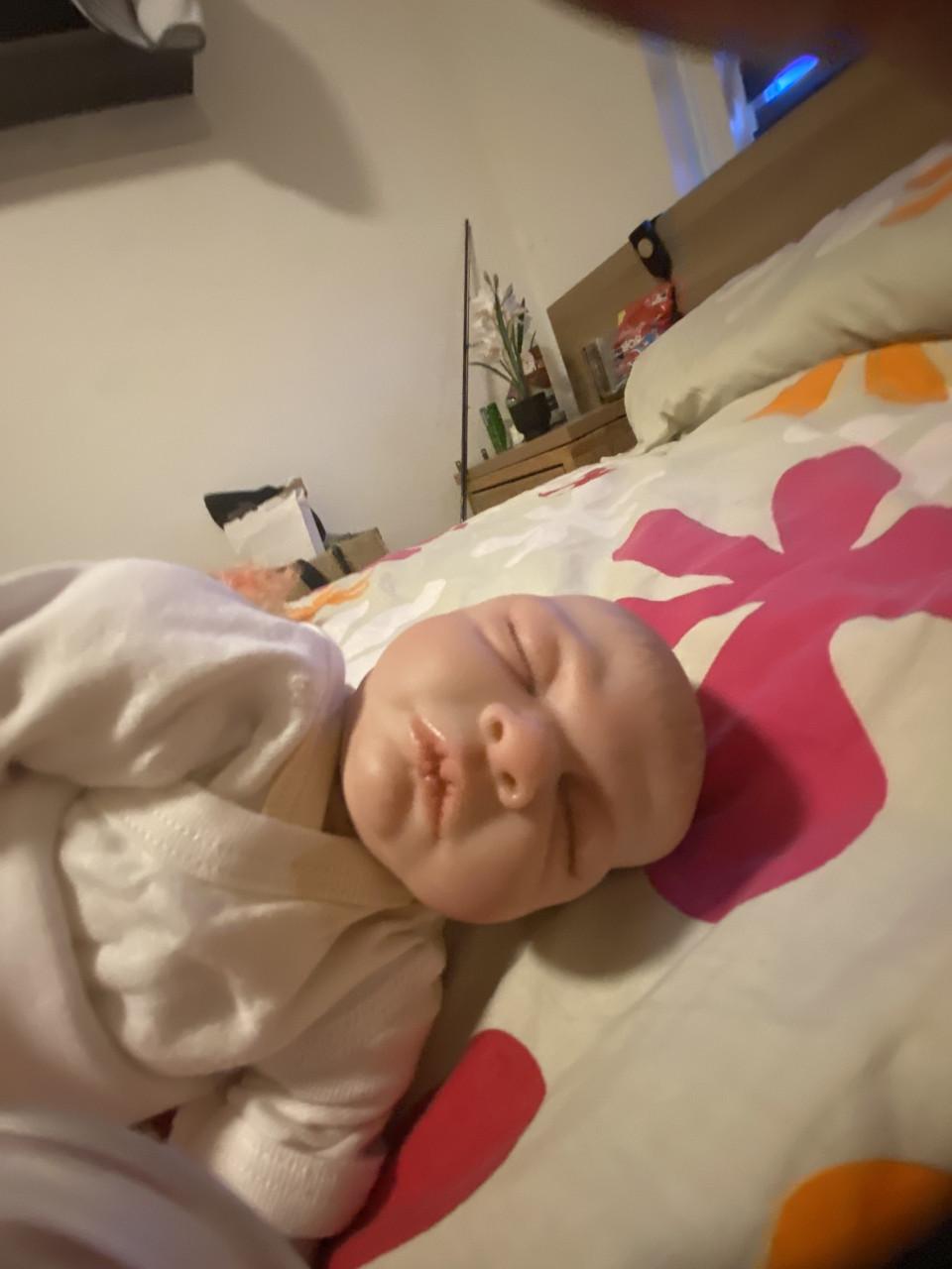 30 reborns voor 500euro