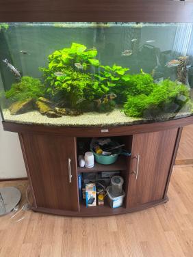 Aquarium onderhoud