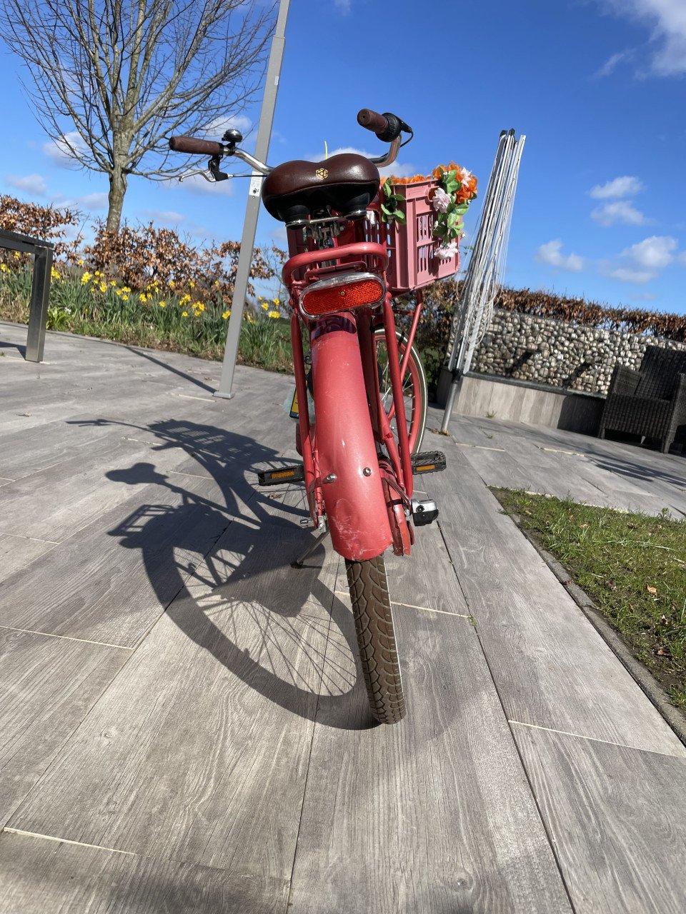 Meisjes fiets