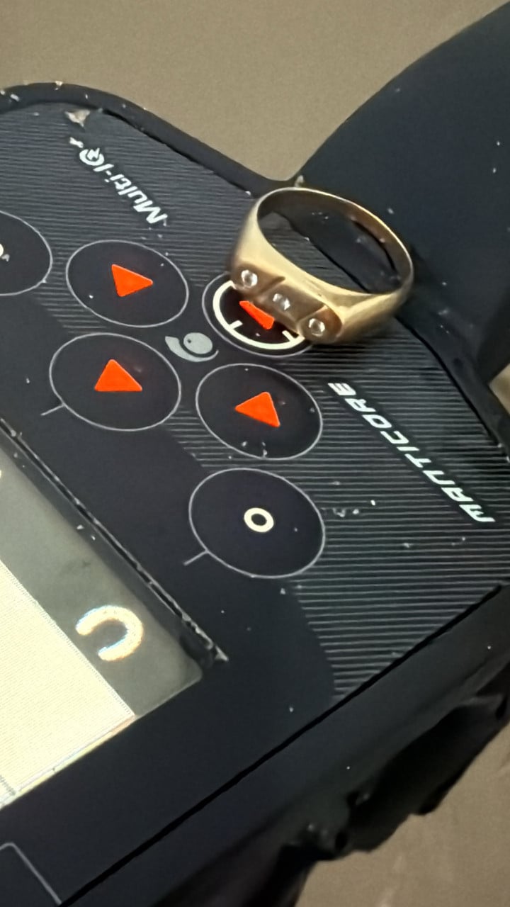De Beste Strand metaaldetector. Minelab Manticore