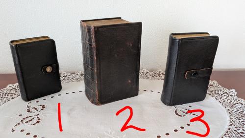 Set van 3 Antieke Bijbels (Statenvertaling) – met Psalmen van Datheen
