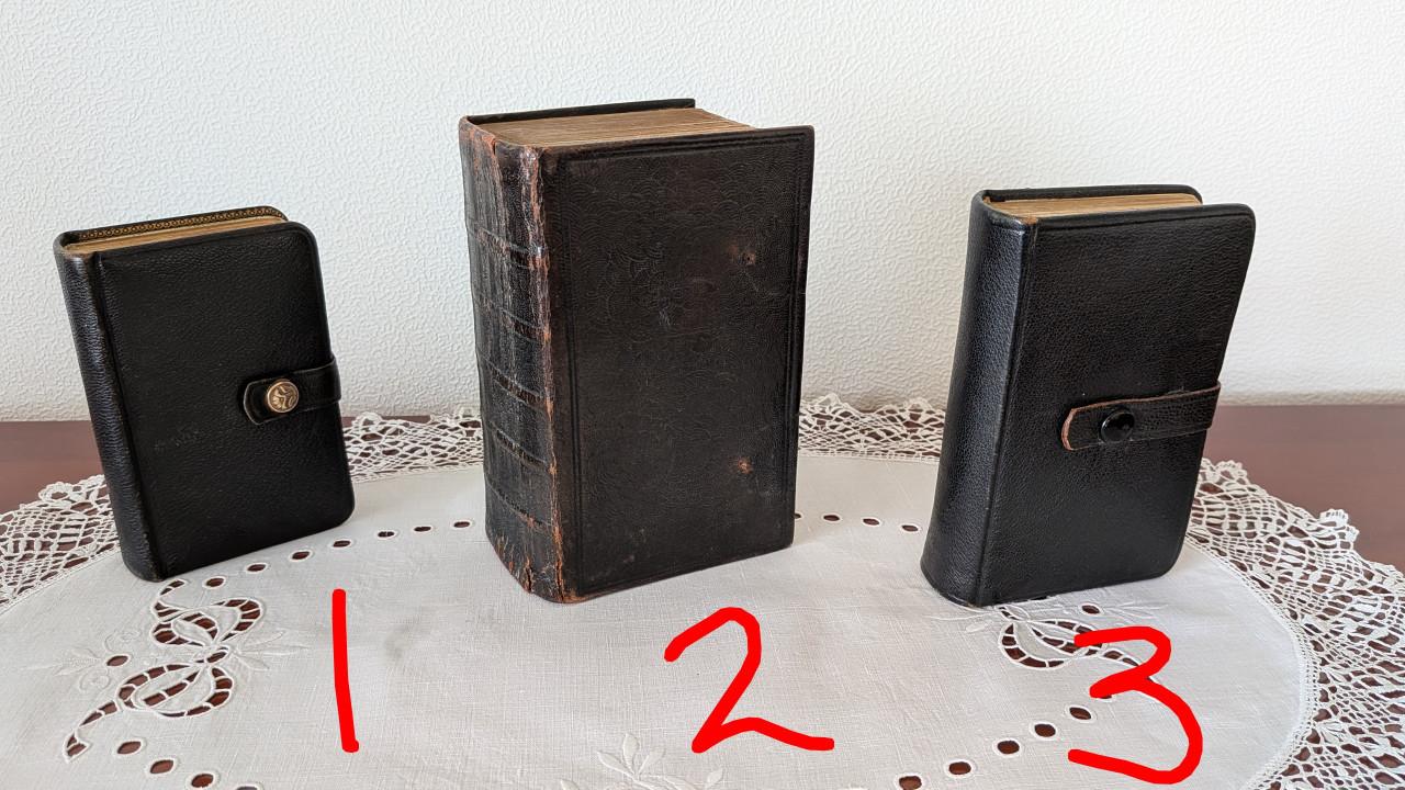 Set van 3 Antieke Bijbels (Statenvertaling) – met Psalmen van Datheen