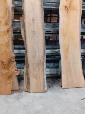 300 cm x 40 x 5 lang essen boomstamblad v 40 euro