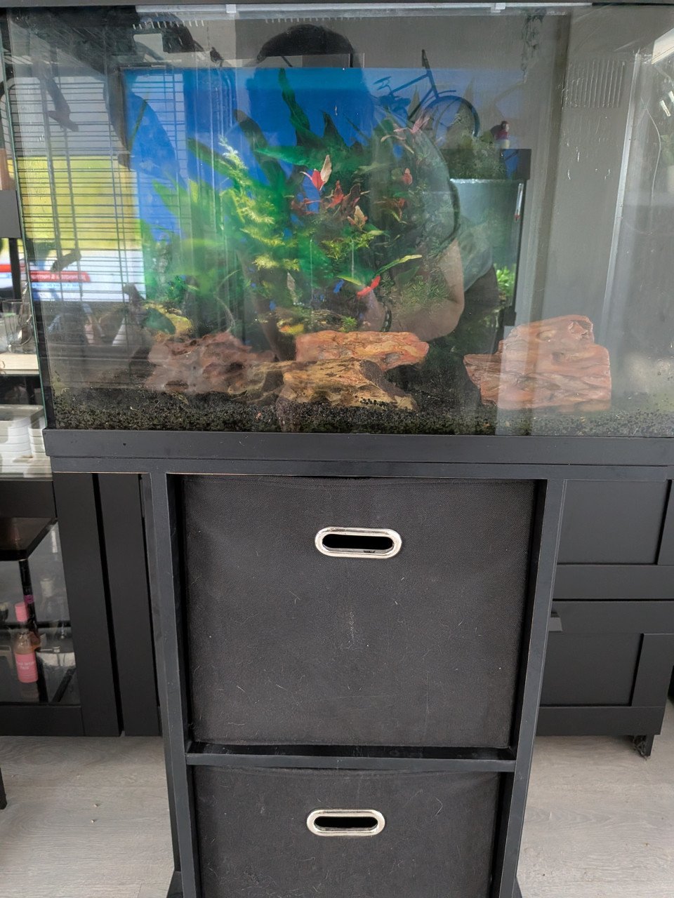 Aquarium