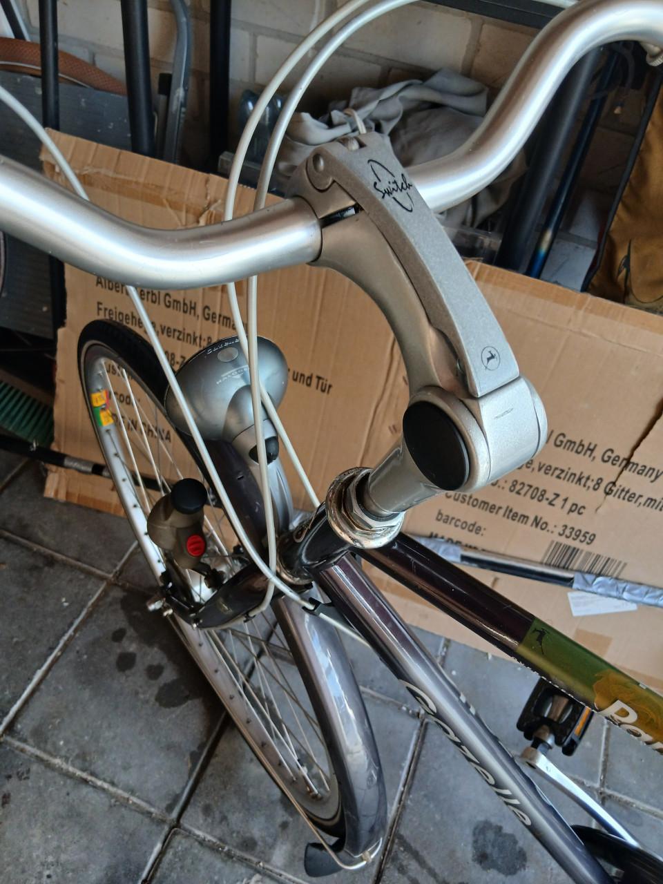 Gazelle herenfiets Paris