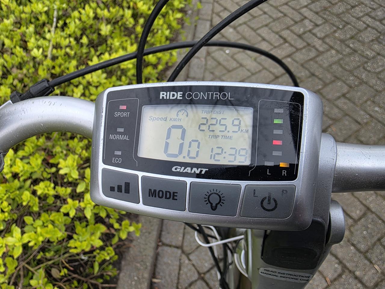 Keurig nette Giant Twist elektrische fiets