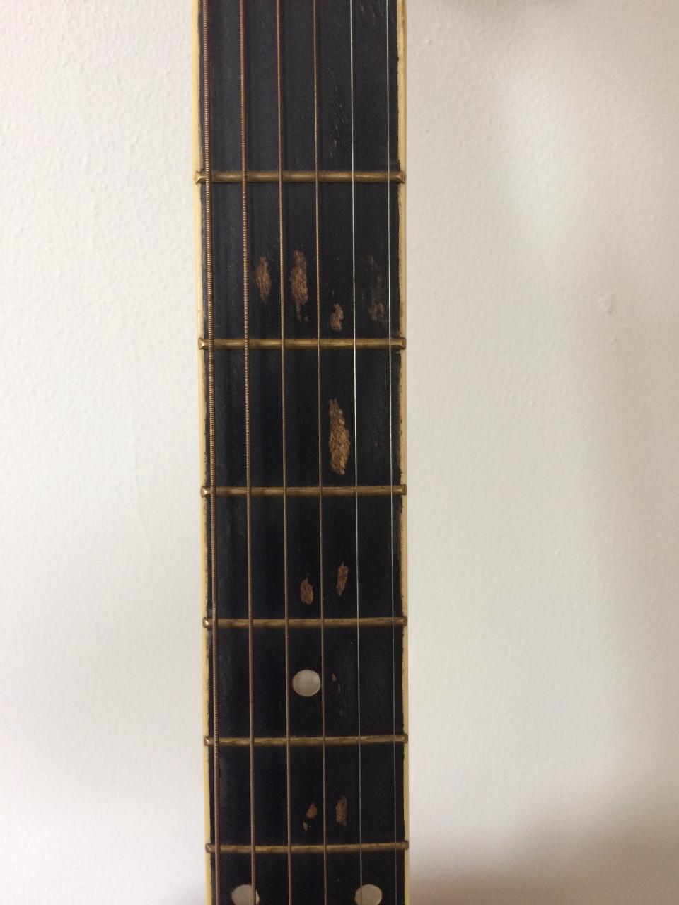 Phoenix 001 western gitaar