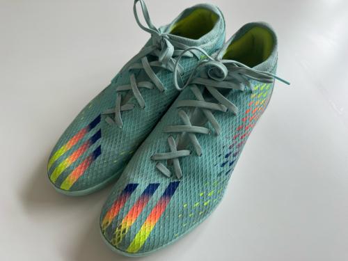 Zaal of gym schoenen maat 45,5