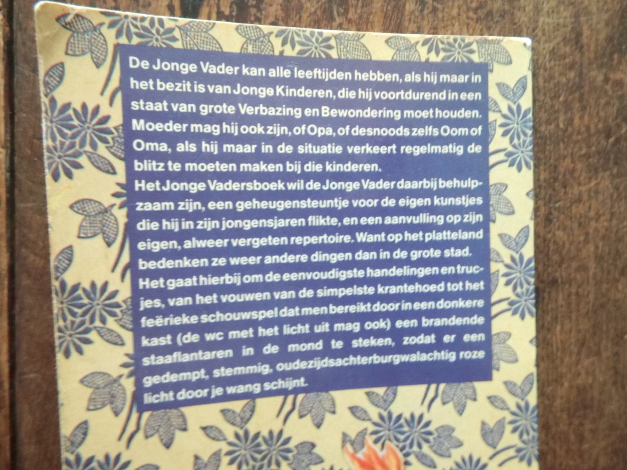 Het jonge vadersboek.