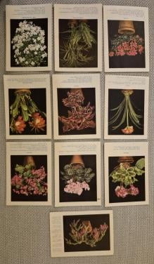 Reclamekaarten POKON ca 1933