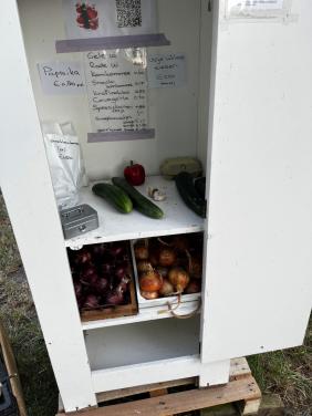 Groente uit eigen tuin