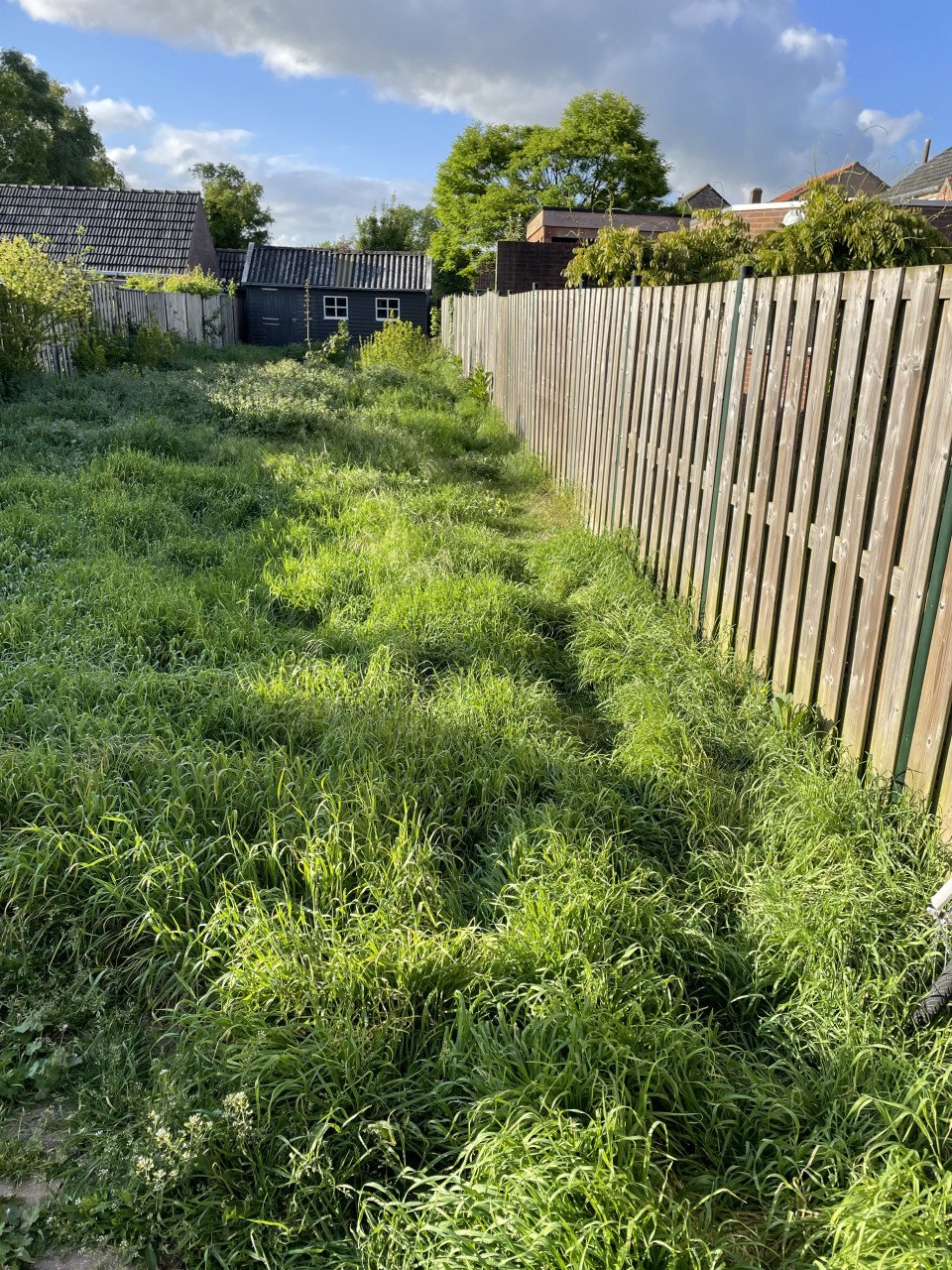 Tuinonderhoud