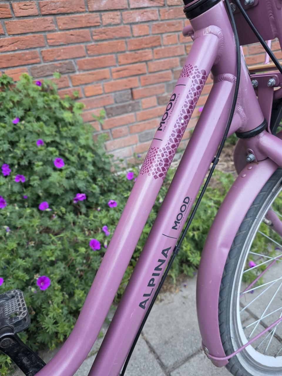ALPINA | MOOD | 24 INCH | 38 CM | NEXUS 3 | NETTE STAAT!