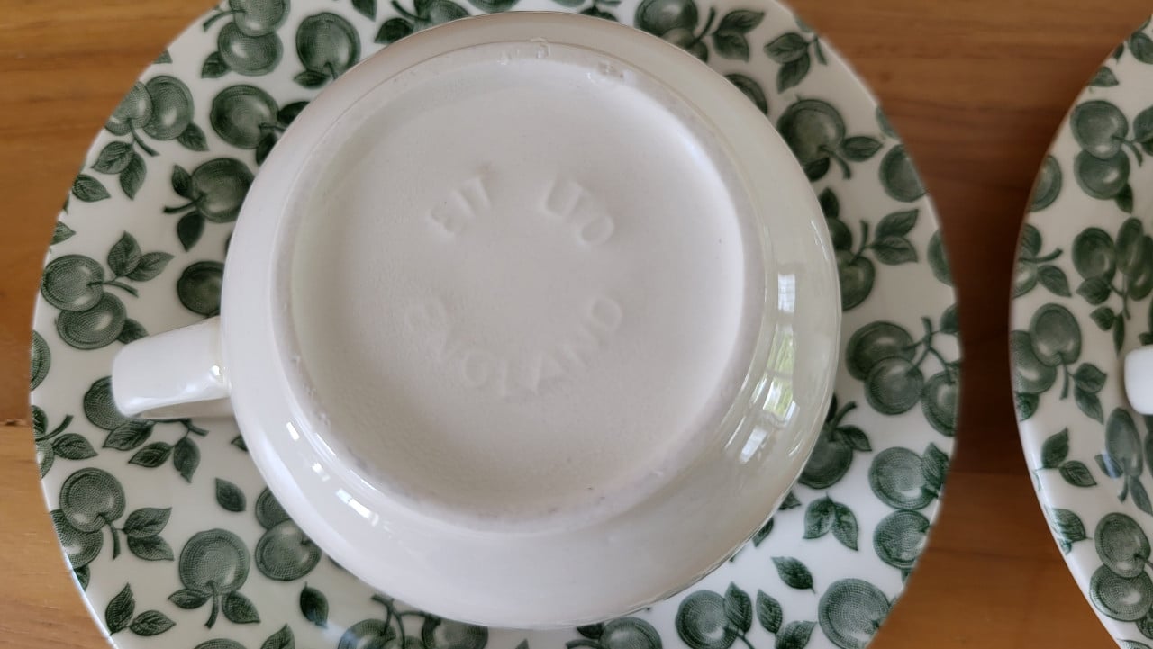 Set v 2 English Ironstone Tableware Green Apple kop en schotels