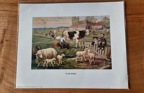 Prent Ot & Sien in de weide  Tekenaar Jetses, Afm. 24 x 30 cm