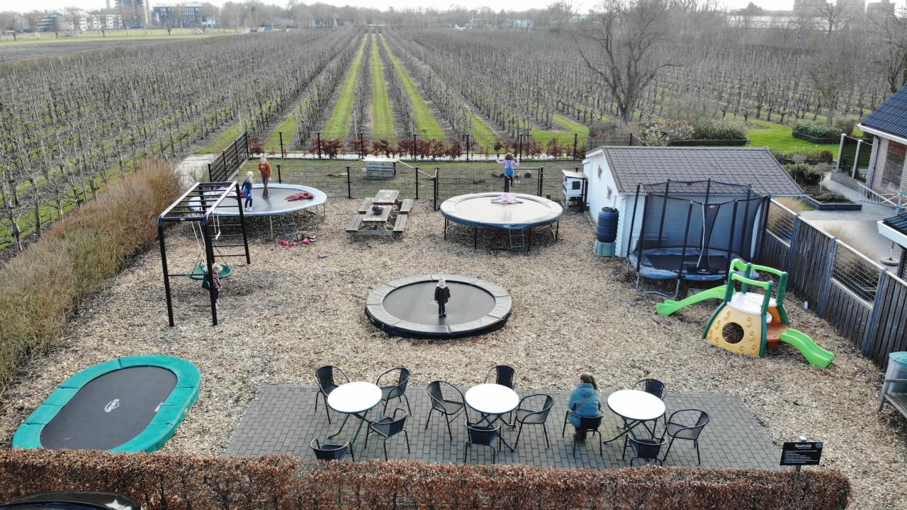 Trampolines en Playbase toestel van Berg