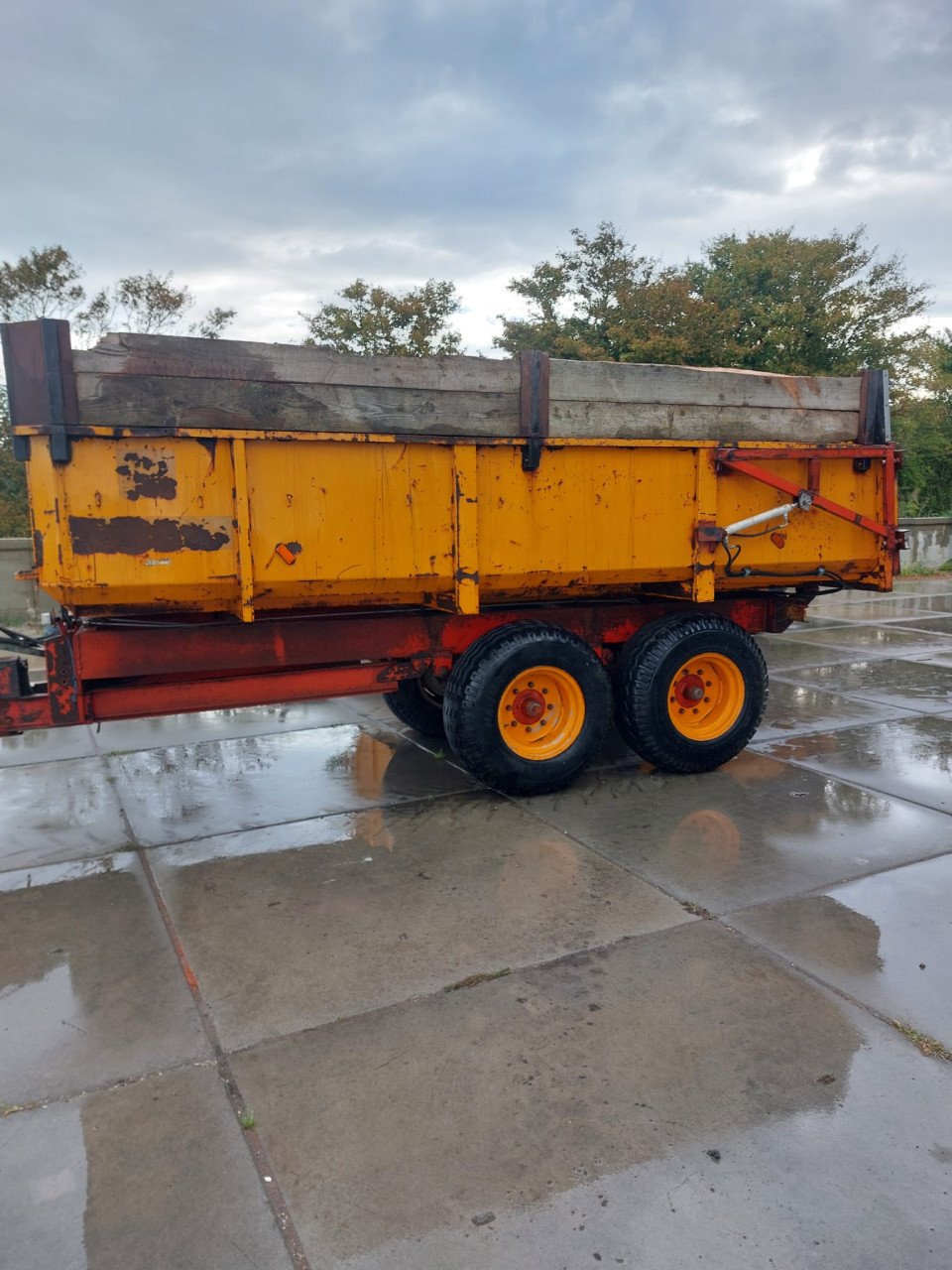 Miedema 10 kipper