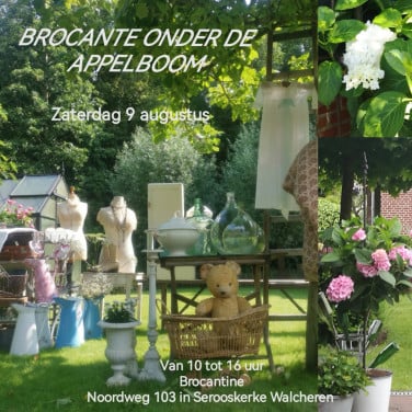BROCANTE ONDER DE APPELBOOM