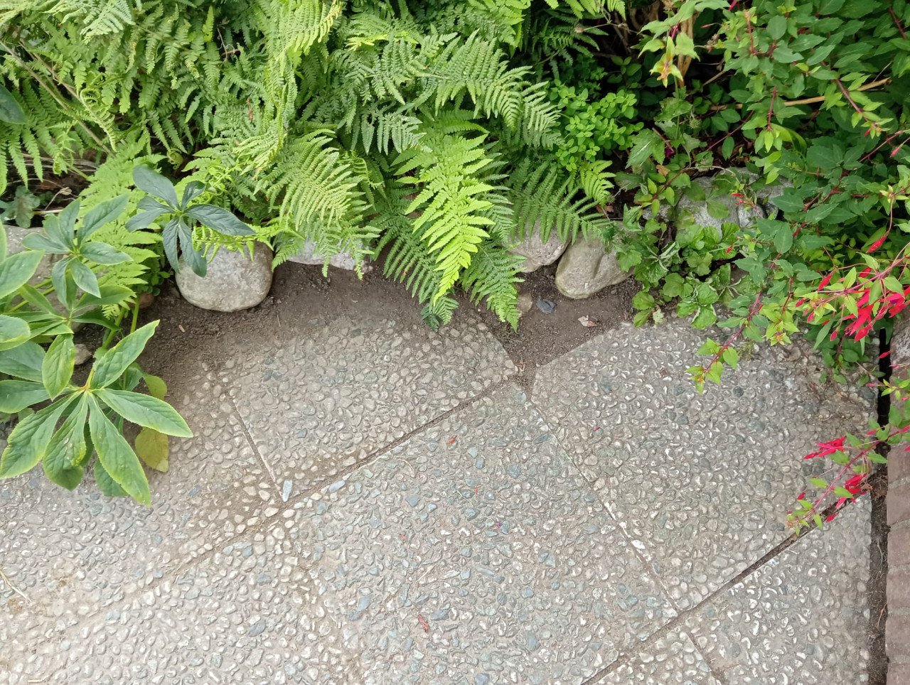 Tuinman nodig? Ben Beschikbaar!