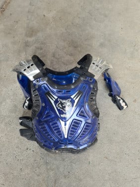 Body protector