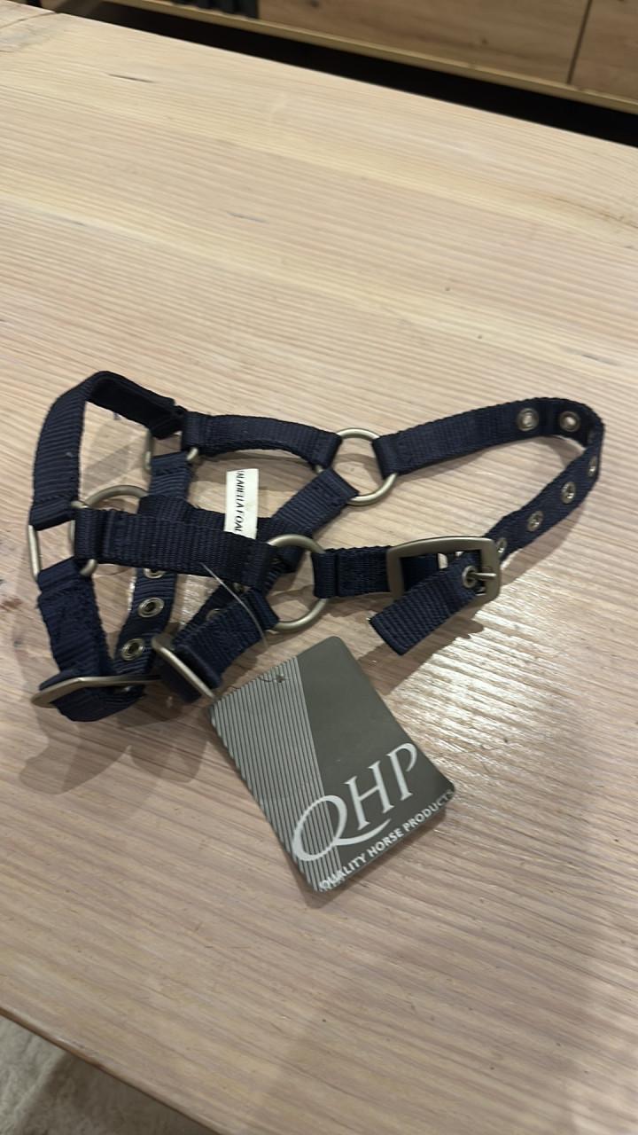 Falabella veulen halster