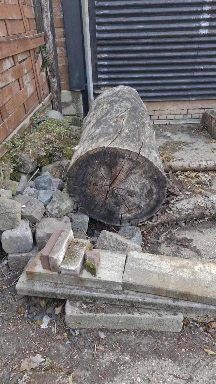 Boomstam, natuurlijk gedroogd, afmetingen ca. 1,6 m lang, doorsnede 70 cm