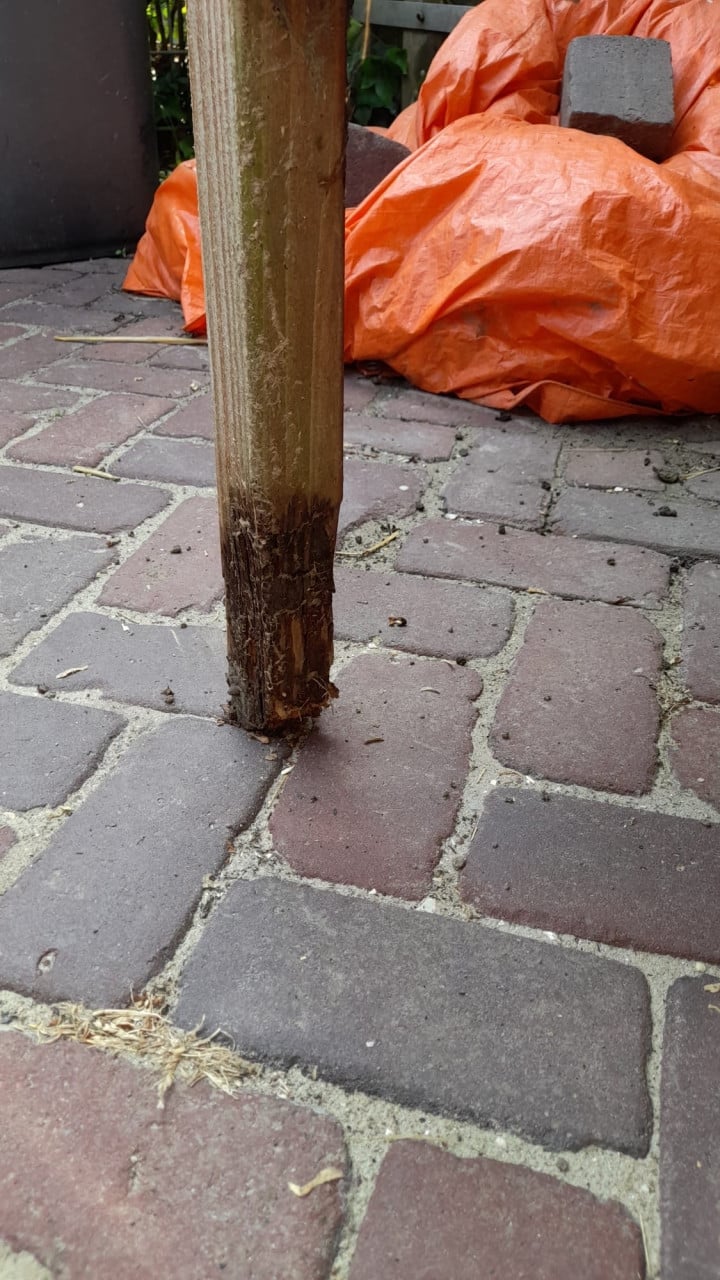 Groot compleet  konijnenhok