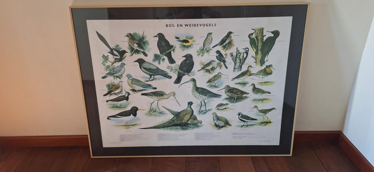 Fotpolijst met passe partout.