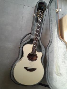 Yamaha apx1000