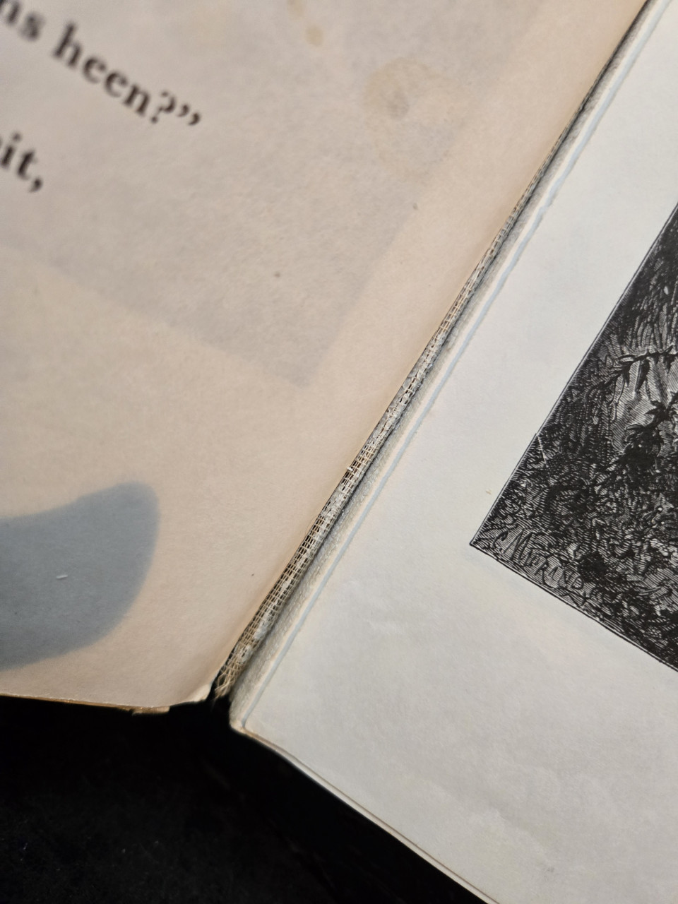 Boek: De sprookjes van Moeder de Gans