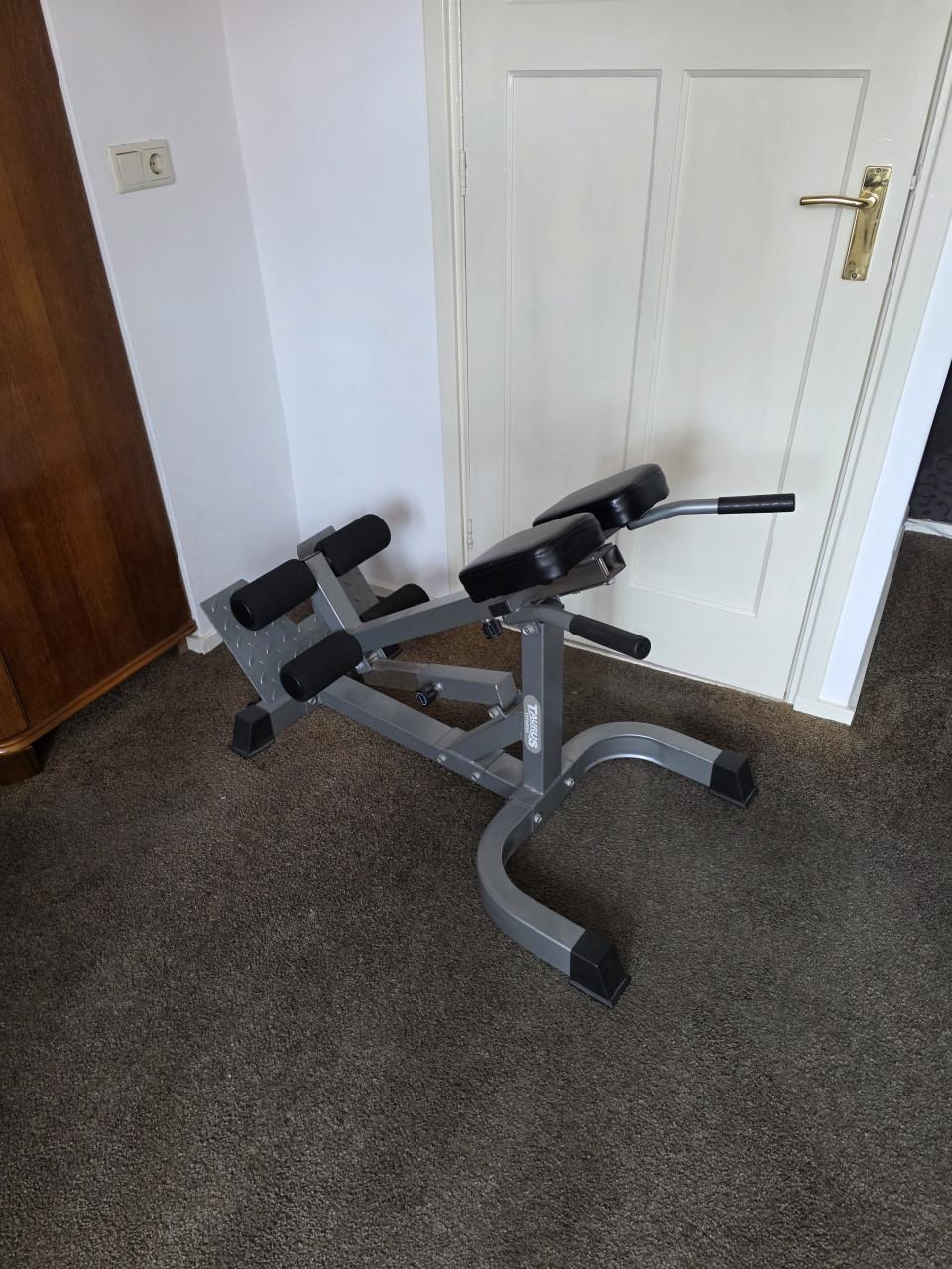 Rugtrainer/ Hyperextension / Roman Chair / Back Extension - €100