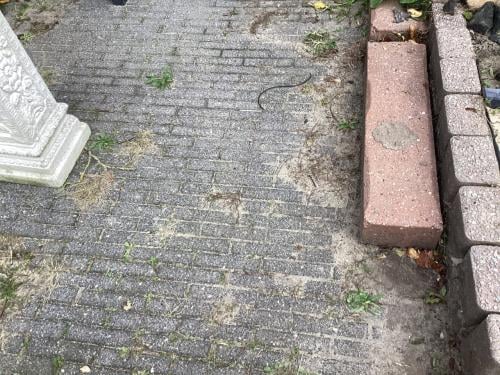 GRATIS Bestrating 15 m2, opsluitblokken , betonnen Bilzen