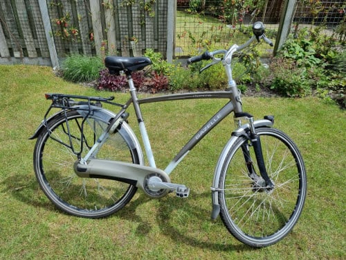 Gazelle Chamonix Plus H57