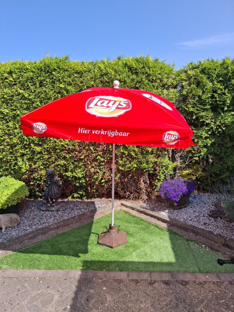 Parasol lays