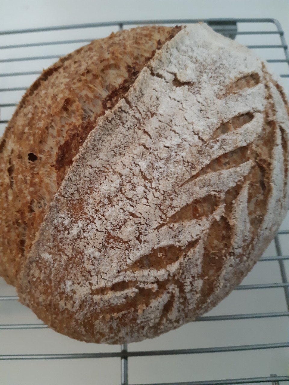 Workshop desembrood